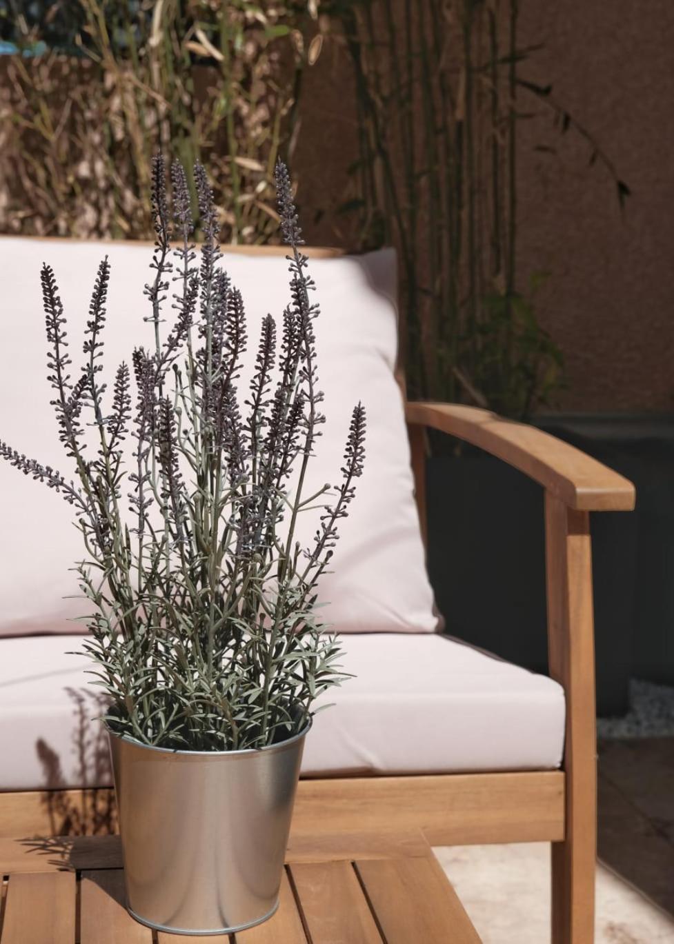 Studio Renove Avec Belle Terrasse Αιξ-αν-Προβάνς Εξωτερικό φωτογραφία